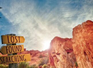 Czym zajmuje się doskonalenie zawodowe?