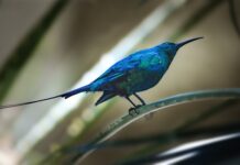 Jakie faktury do ulgi mieszkaniowej? Jakie faktury do ulgi mieszkaniowej?