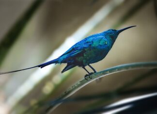 Jakie faktury do ulgi mieszkaniowej? Jakie faktury do ulgi mieszkaniowej?