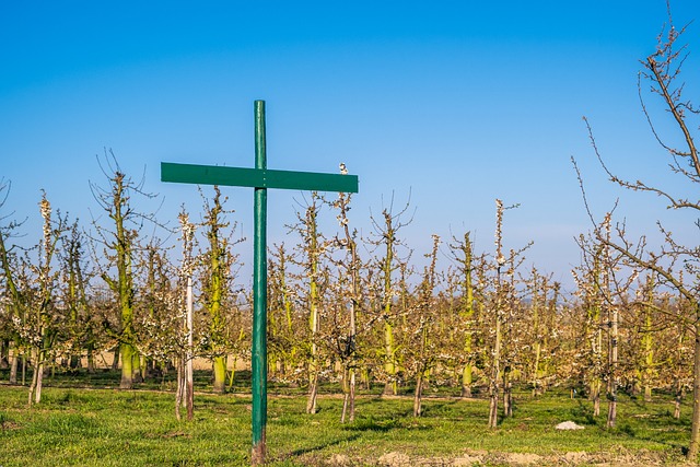 Do kogo nie stosuje się regulaminu wynagradzania? Do kogo nie stosuje się regulaminu wynagradzania?