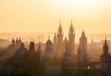 Jakie stawia Pan przed sobą cele zawodowe? Jakie stawia Pan przed sobą cele zawodowe?