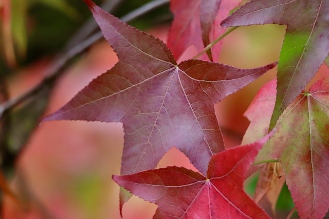 Co da likwidacja WIBOR? Co da likwidacja WIBOR?