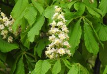 Czy to wstyd nie mieć matury? Czy to wstyd nie mieć matury?