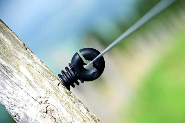 Ile Polaków Studiowało na Yale? Ile Polaków Studiowało na Yale?