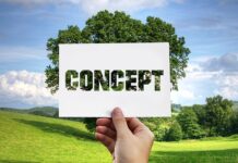 Jakie są metody terapii pedagogicznej? Jakie są metody terapii pedagogicznej?