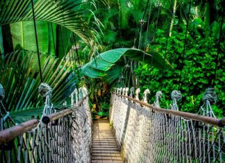 Kto może prowadzić kursy i szkolenia?