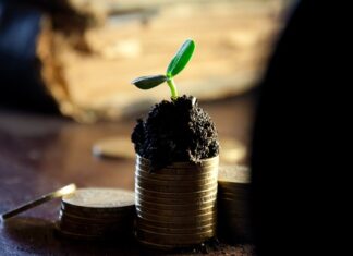 Czy na dywidendach można zarobić?