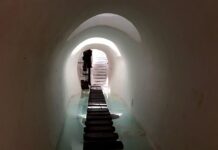 Jak bukmacherzy ustalają kursy?