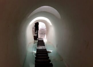 Jak bukmacherzy ustalają kursy?