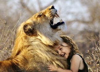 Jak grać w gry na okularach VR?