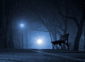 Kiedy powstał Polski system edukacji?