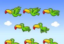 Ile czasu zajmuje zrobienie animacji? Ile czasu zajmuje zrobienie animacji