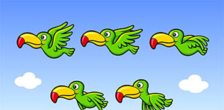 Ile czasu zajmuje zrobienie animacji